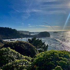 What's a recommended itinerary when visiting the Redwoods in California?