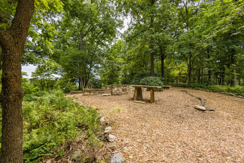 mill-mountain-wildflower-garden-013