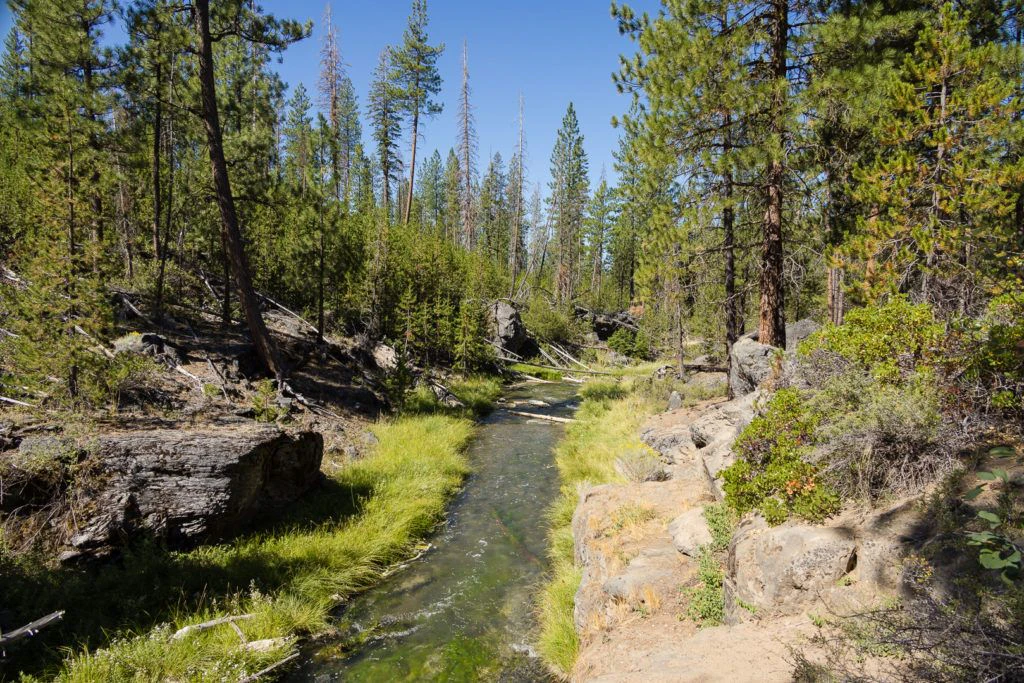 natural-water-slides-hike-and-paulina-plunge-tour-018