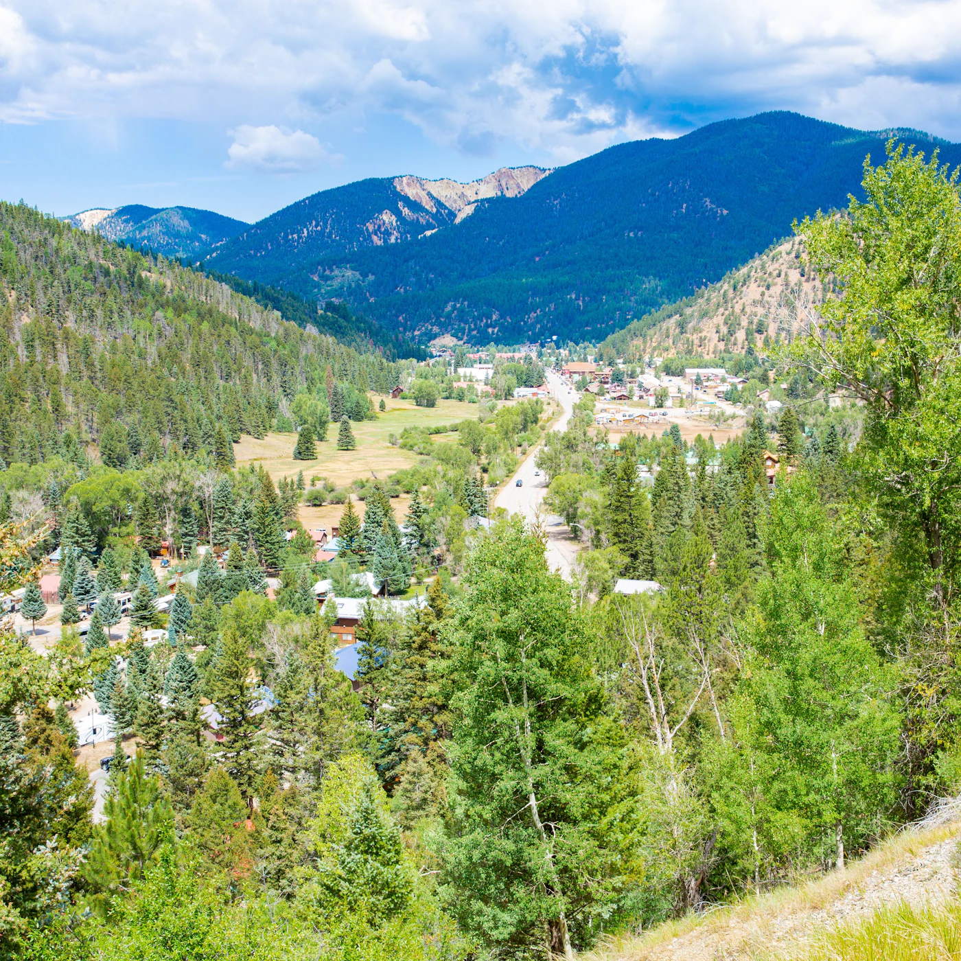 AdobeStock_259317199.jpeg