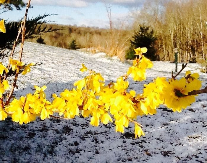 Springtime in WV: Time to Stretch Your Legs in the Crisp, Clean Mountain Air