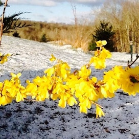 Springtime in WV: Time to Stretch Your Legs in the Crisp, Clean Mountain Air