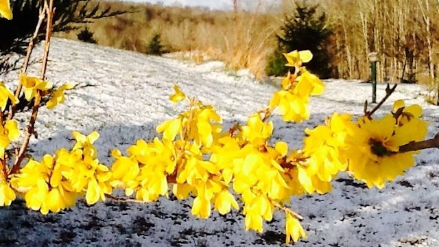 Springtime in WV: Time to Stretch Your Legs in the Crisp, Clean Mountain Air