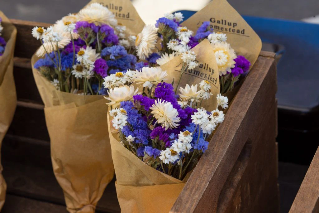 arcata-plaza-farmer-s-market-018