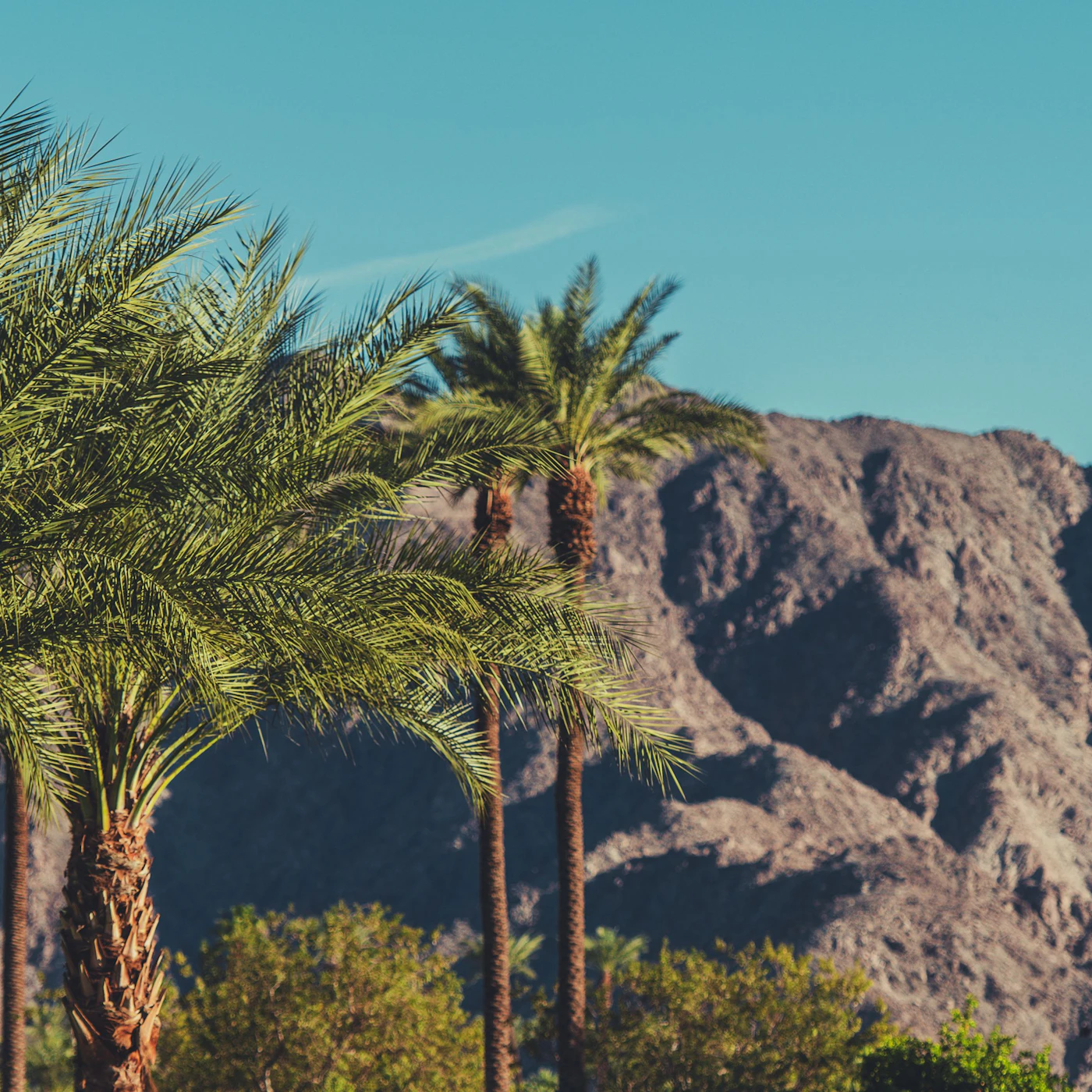AdobeStock_574000213.jpeg
