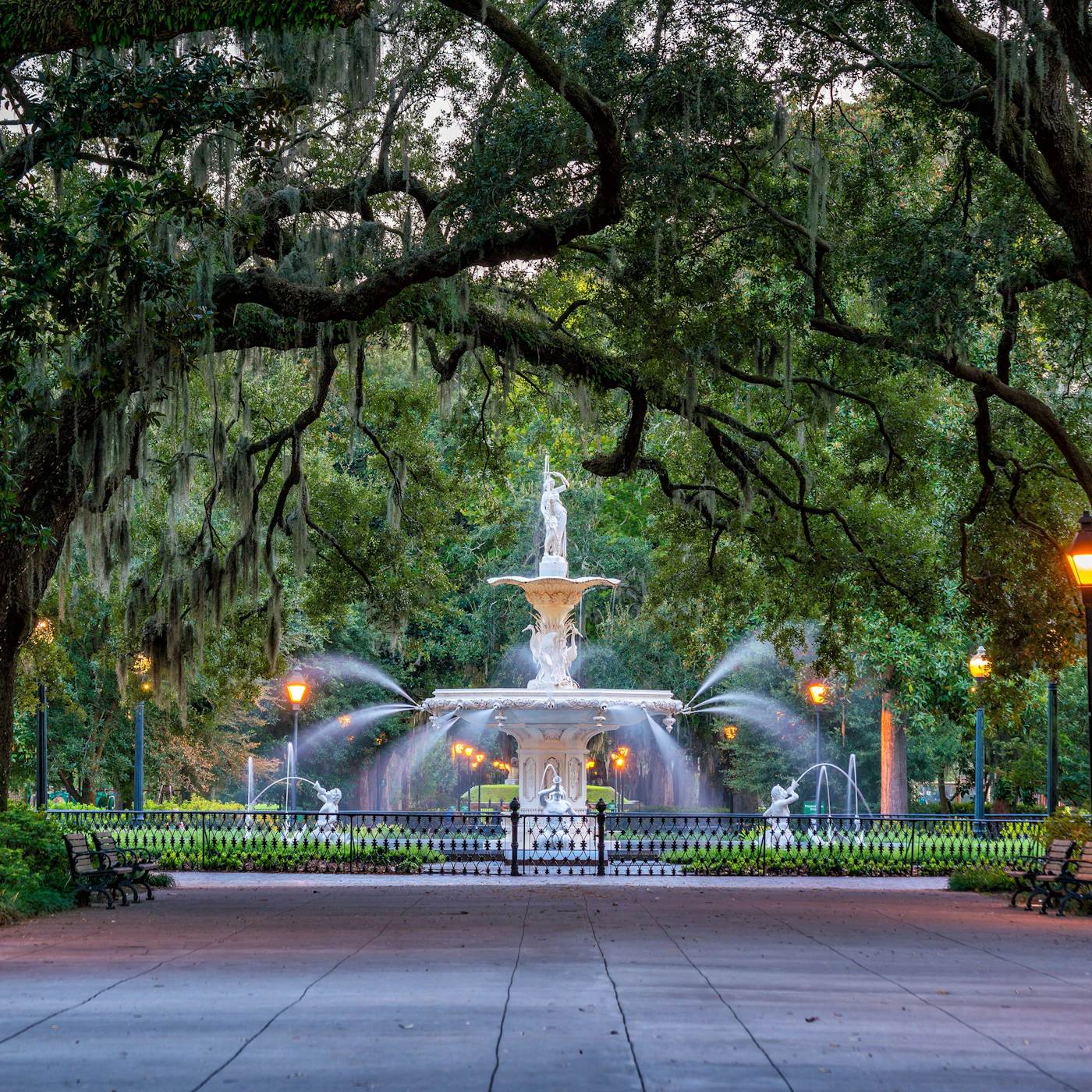 Savannah-AdobeStock_122991799.jpeg