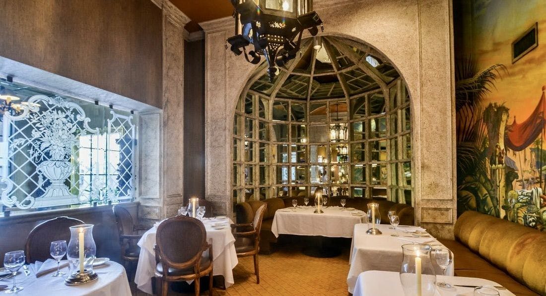 Wally’s Desert Turtle 3.jpeg