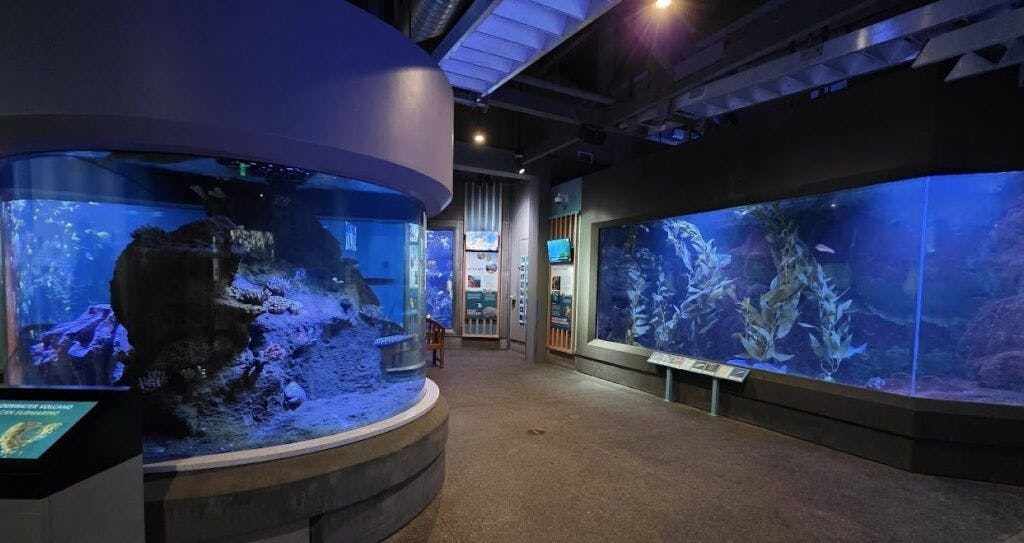 oregon-coast-aquarium-004