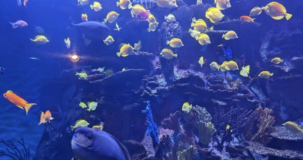 Oregon Coast Aquarium