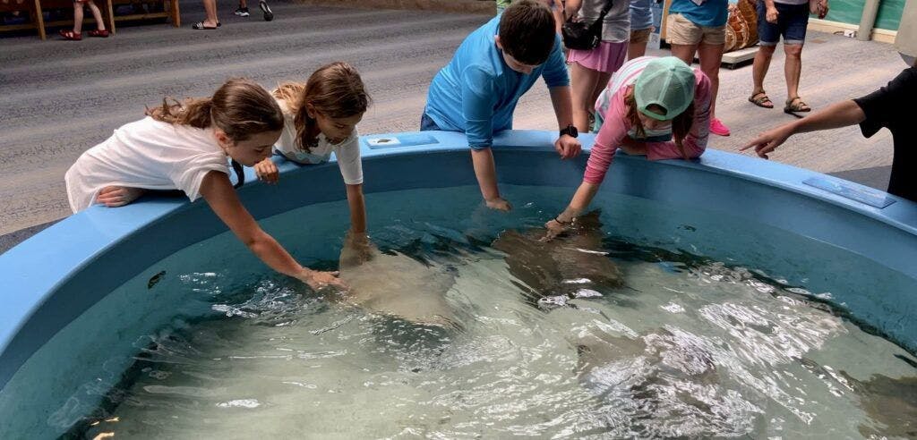 Marine Science Center