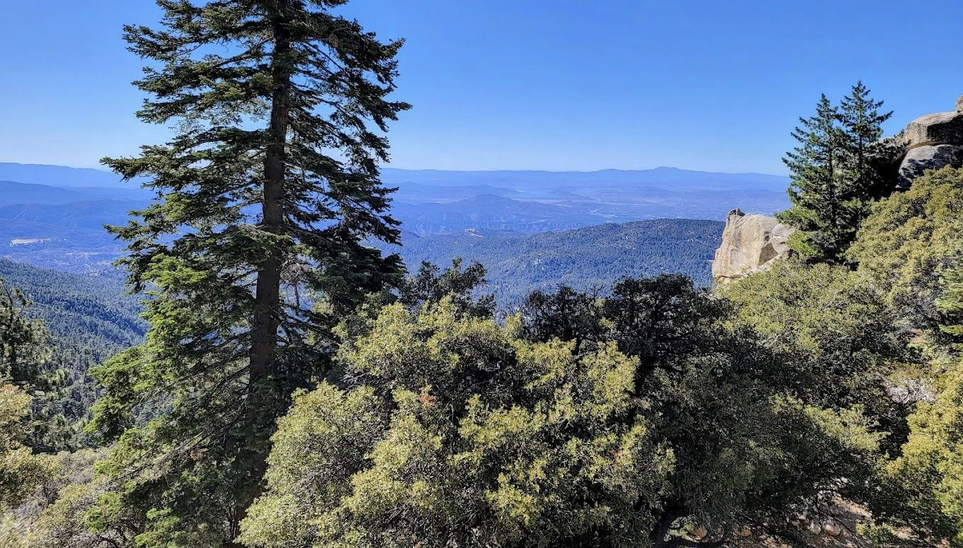 Tahquitz Peak 2.jpeg