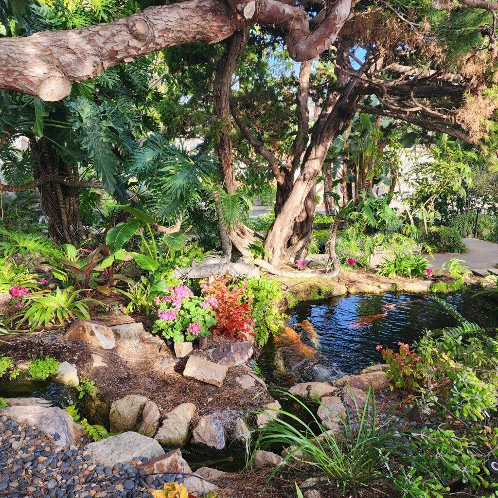 self-realization-fellowship-meditation-gardens-013