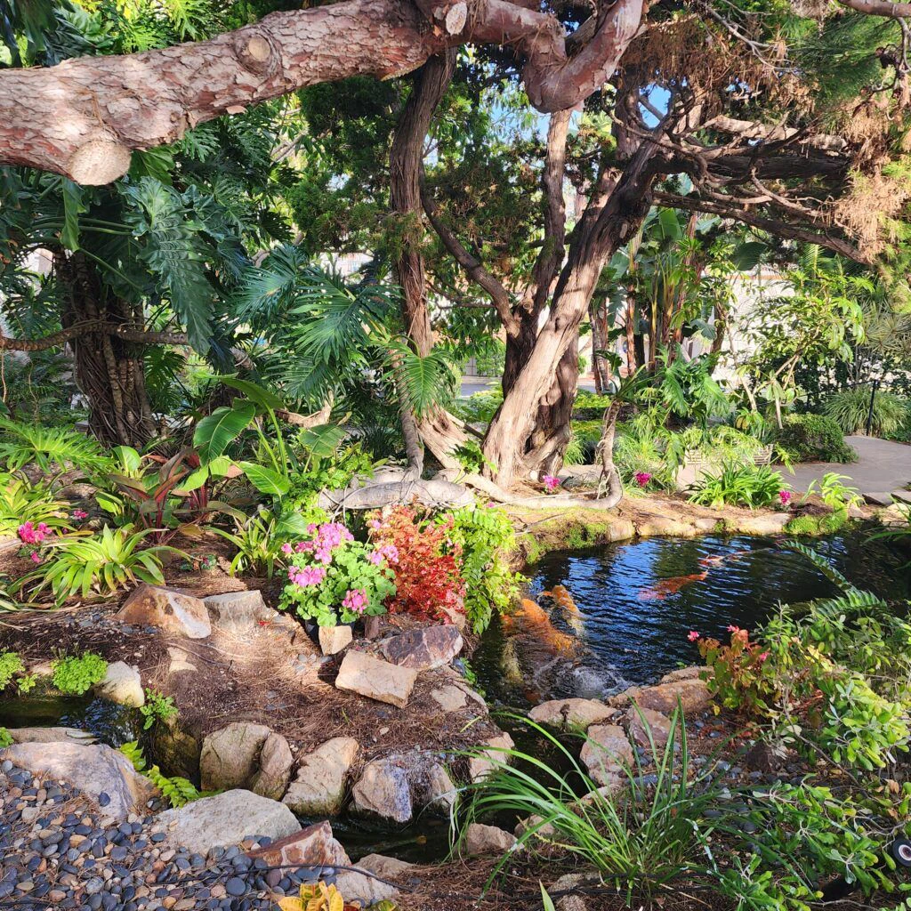 self-realization-fellowship-meditation-gardens-013