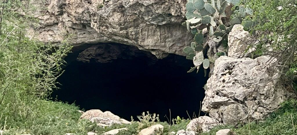 frio-bat-flight-tours-003