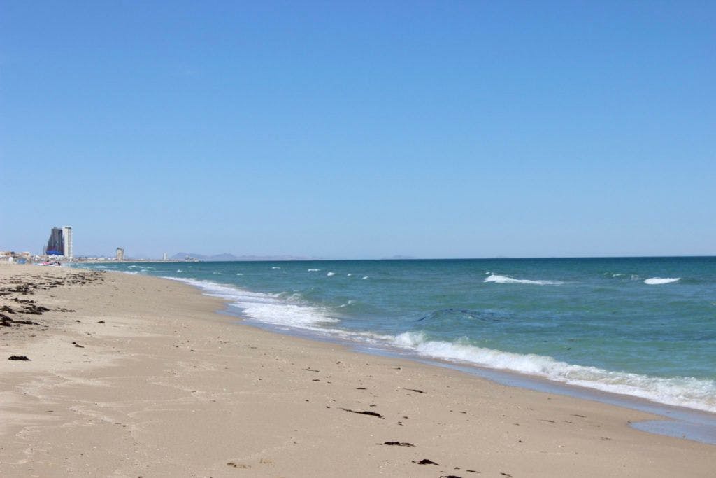 la-jolla-beach-playa-la-jolla-002