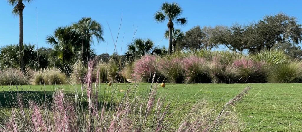 jacksonville-beach-golf-club-002