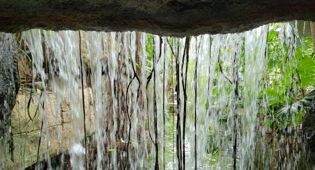 rainforest-pyramid-003