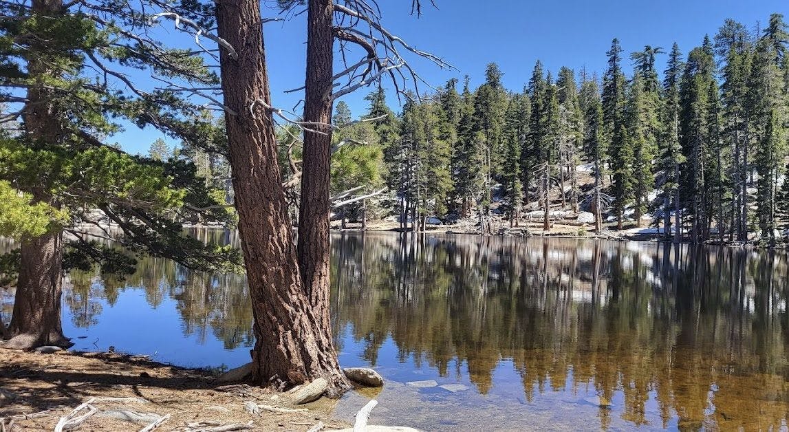 Mount San Jacinto State Park 3.jpeg