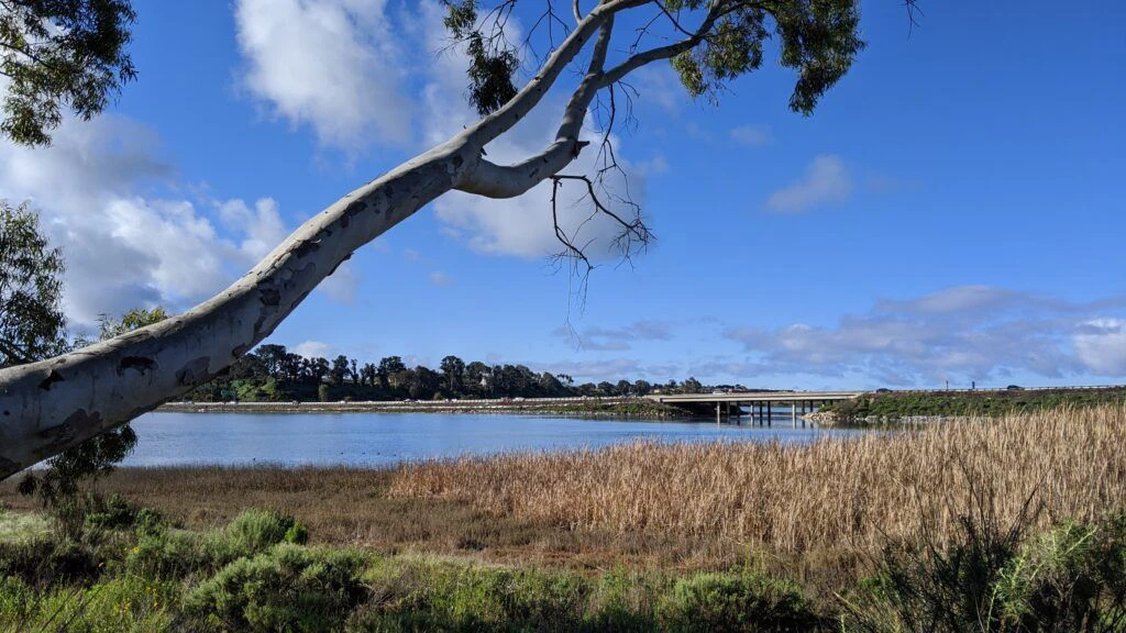 batiquitos-lagoon-foundation-002