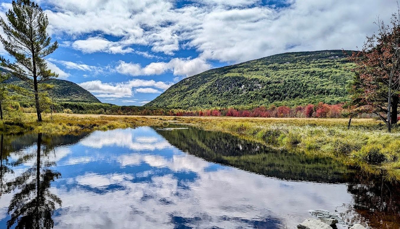 Acadia 3.jpeg