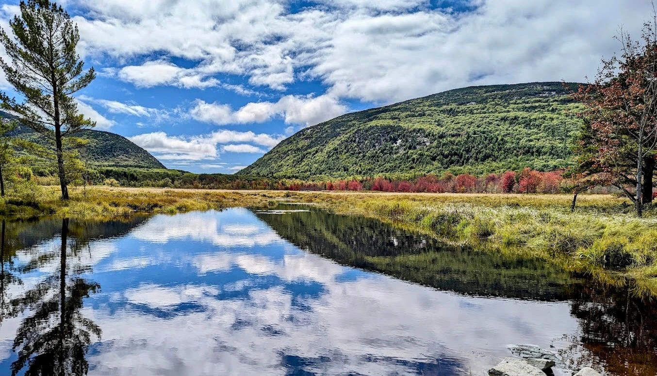 Acadia 3.jpeg