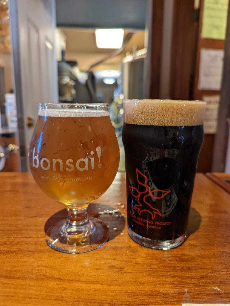 bonsai-brewing-project-002