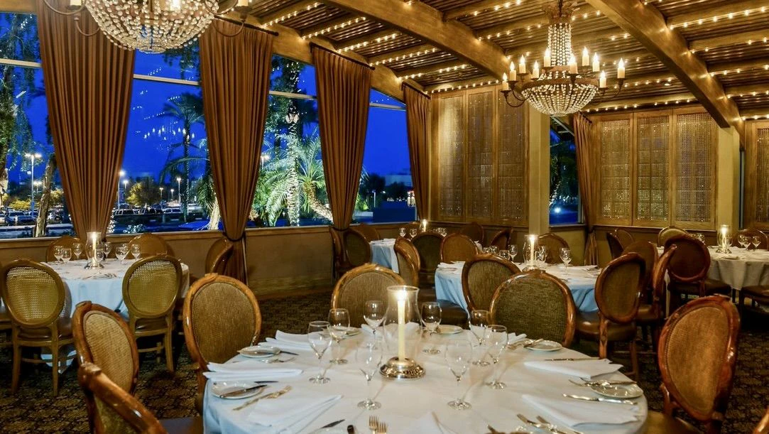 Wally’s Desert Turtle 2.jpeg