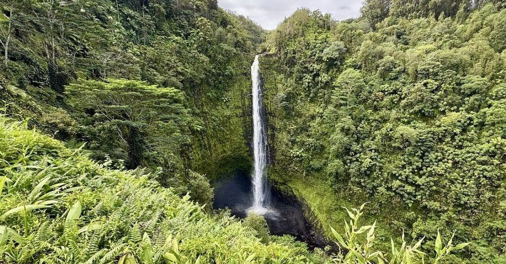 Akaka Falls State Park