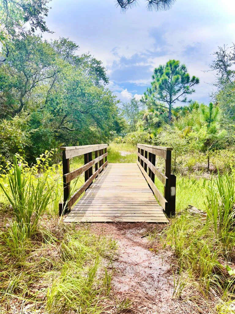 savannas-preserve-state-park-hawk-s-bluff-trail-004