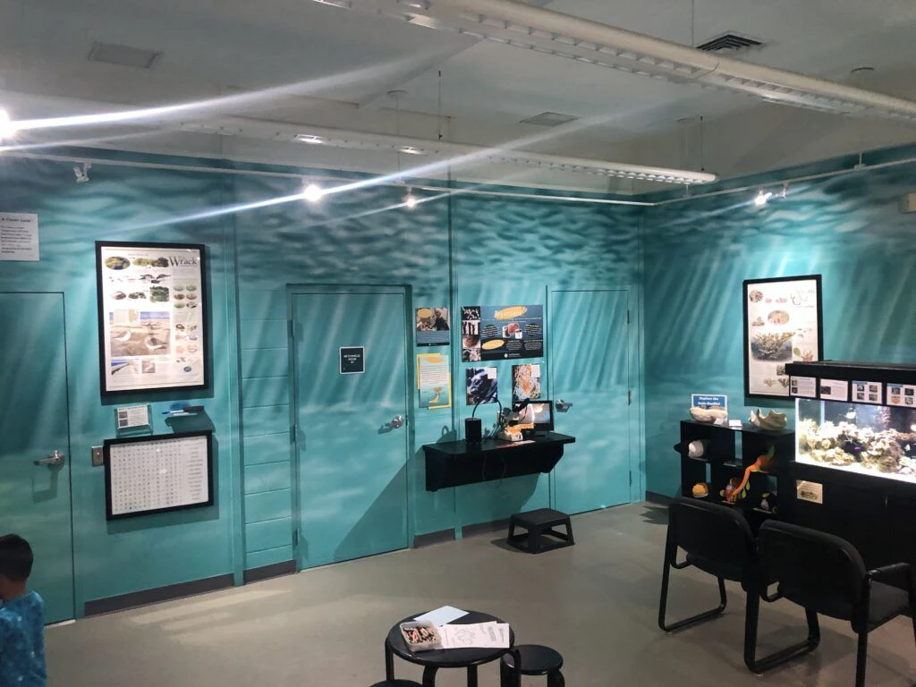 st-lucie-county-aquarium-003