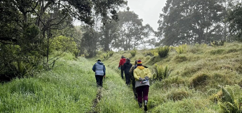 hakalau-forest-national-wildlife-refuge-004