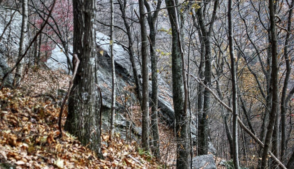 devil-s-den-nature-preserve-002