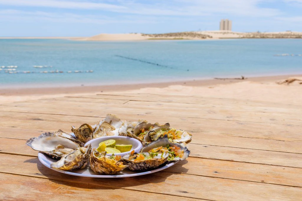 el-barco-ostionera-y-restaurante-oyster-farm-015
