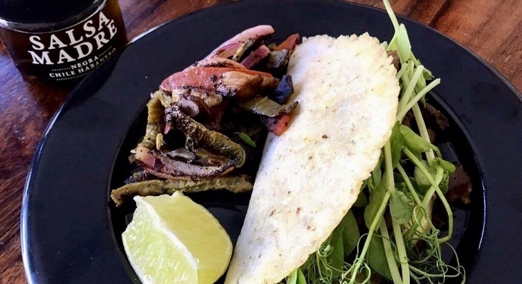 safari-comedor-zama-002