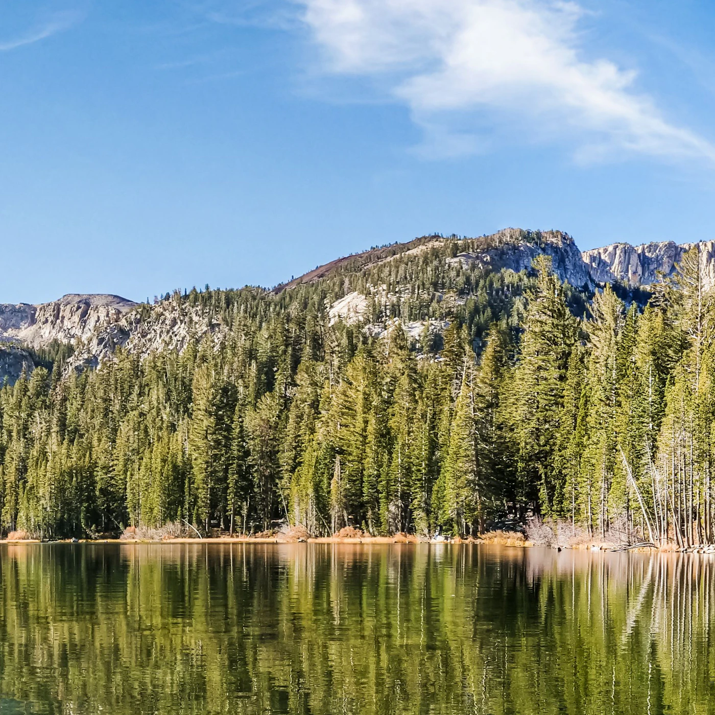 AdobeStock_568344207.jpeg