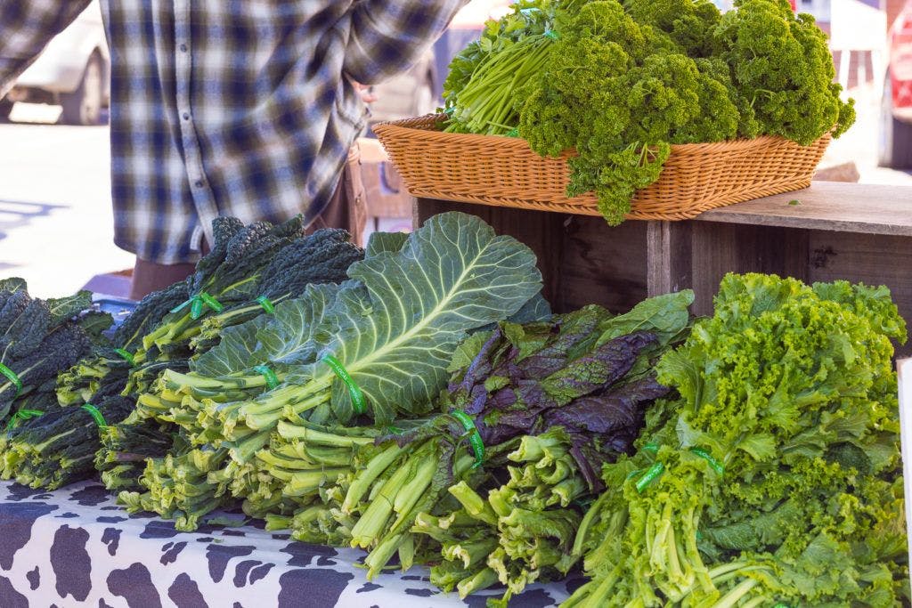 arcata-plaza-farmer-s-market-010
