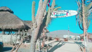 shaka-s-delicious-wood-cantina-003