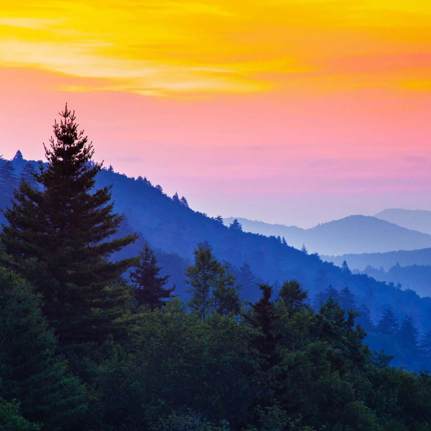 AdobeStock_460017704.jpeg