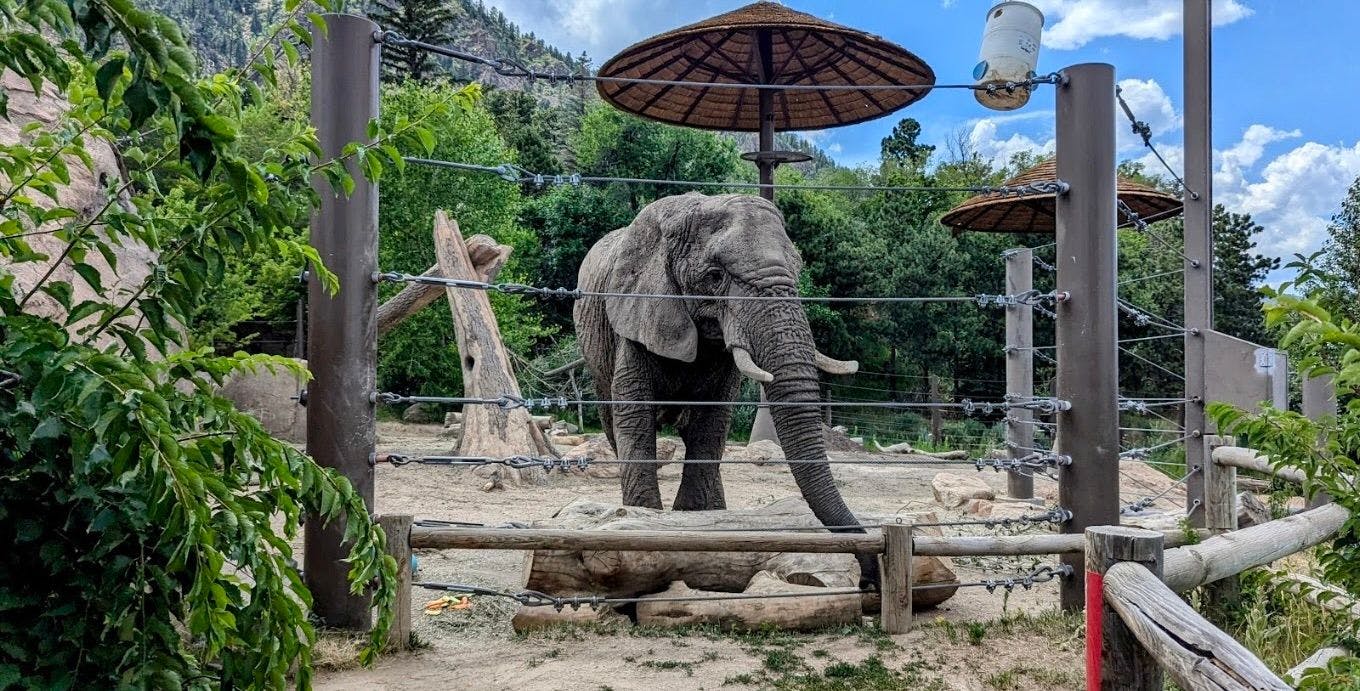 Cheyenne Zoo 1.jpeg