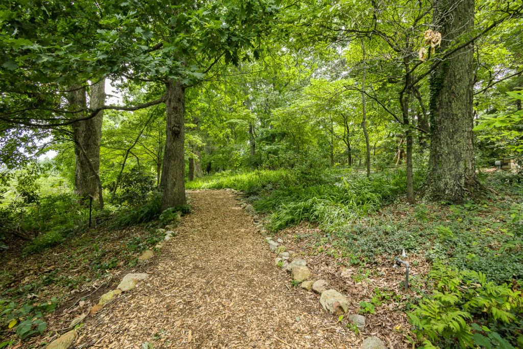 mill-mountain-wildflower-garden-001