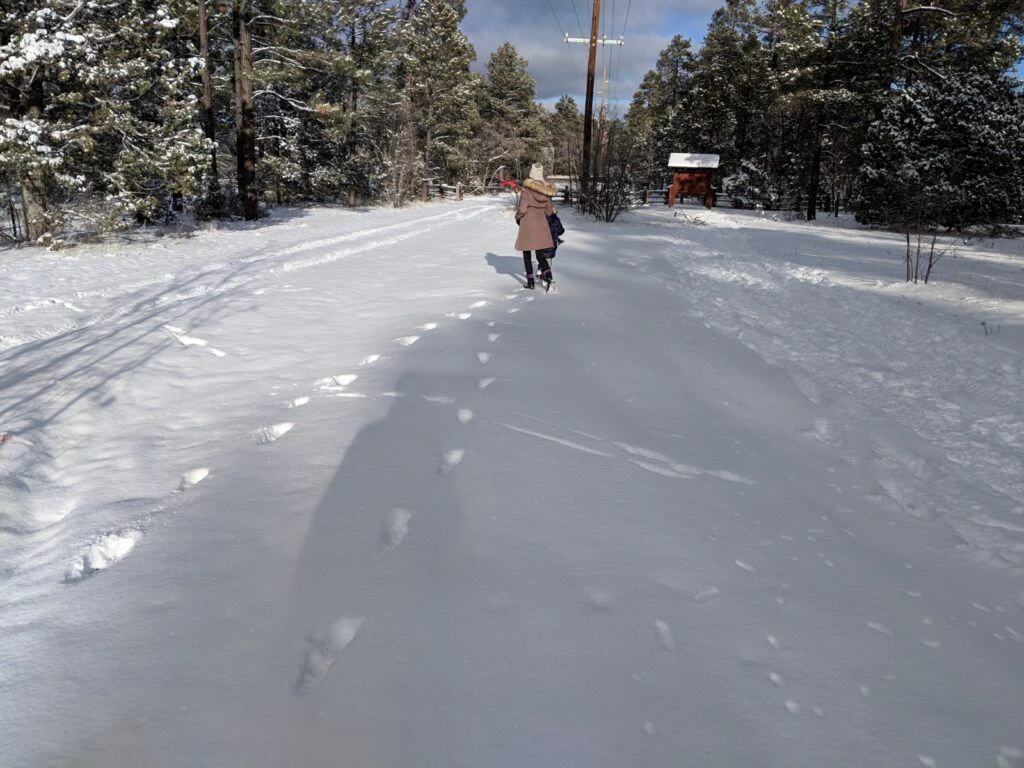 mogollon-rim-trail-004