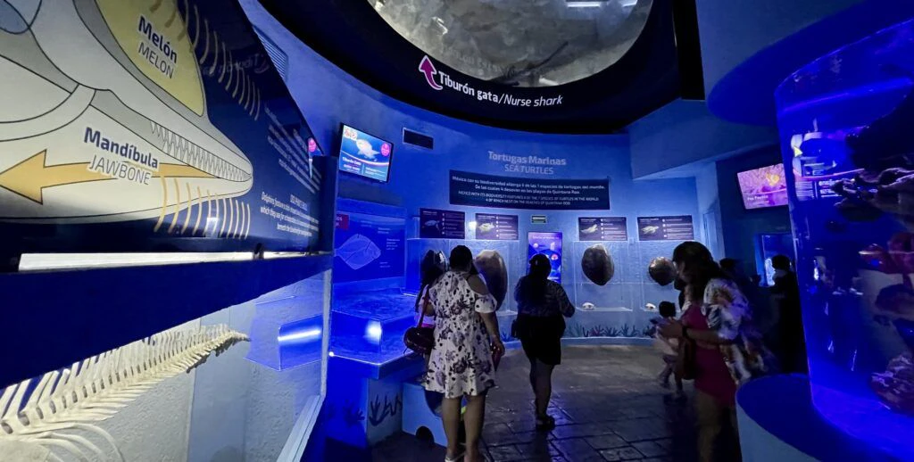 interactive-aquarium-cancun-004