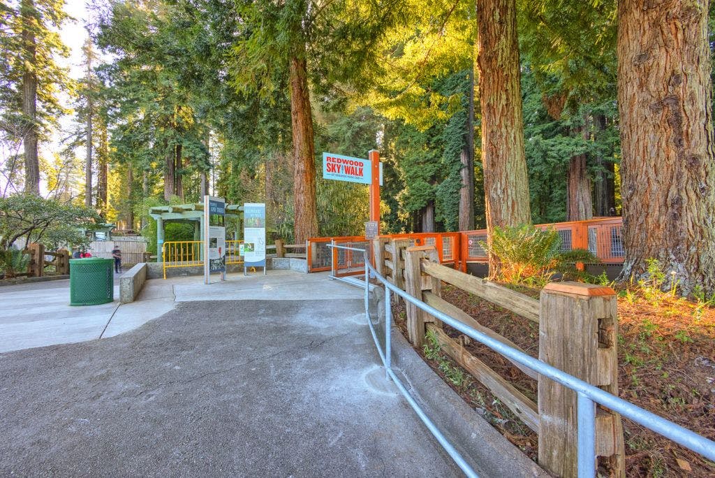 sequoia-park-zoo-and-redwood-sky-walk-020