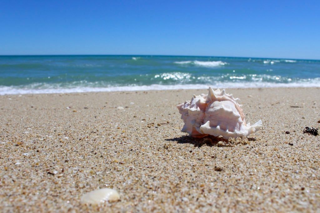 la-jolla-beach-playa-la-jolla-001