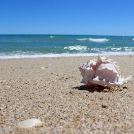 La Jolla Beach (Playa La Jolla)
