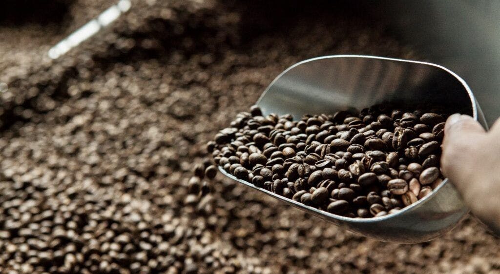 mountain-thunder-coffee-plantation-004