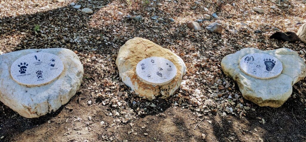 neal-taylor-nature-center-002