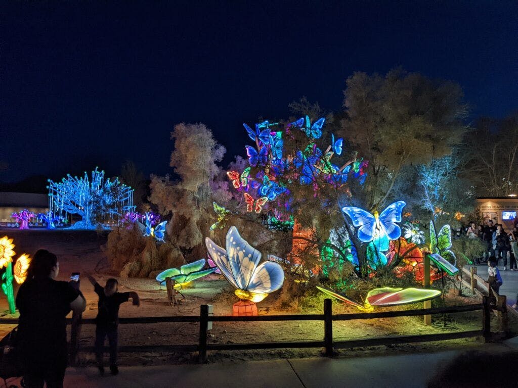 the-living-desert-zoo-and-gardens-002