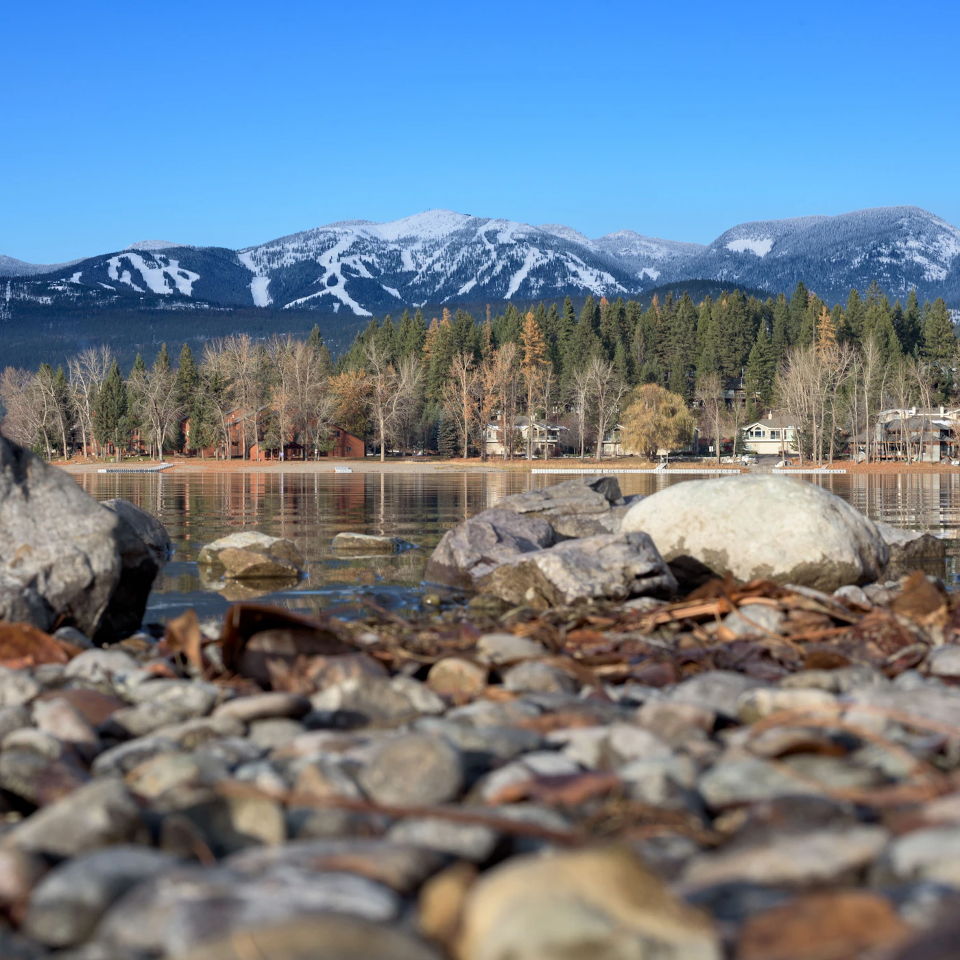 Whitefish - Northern Montana