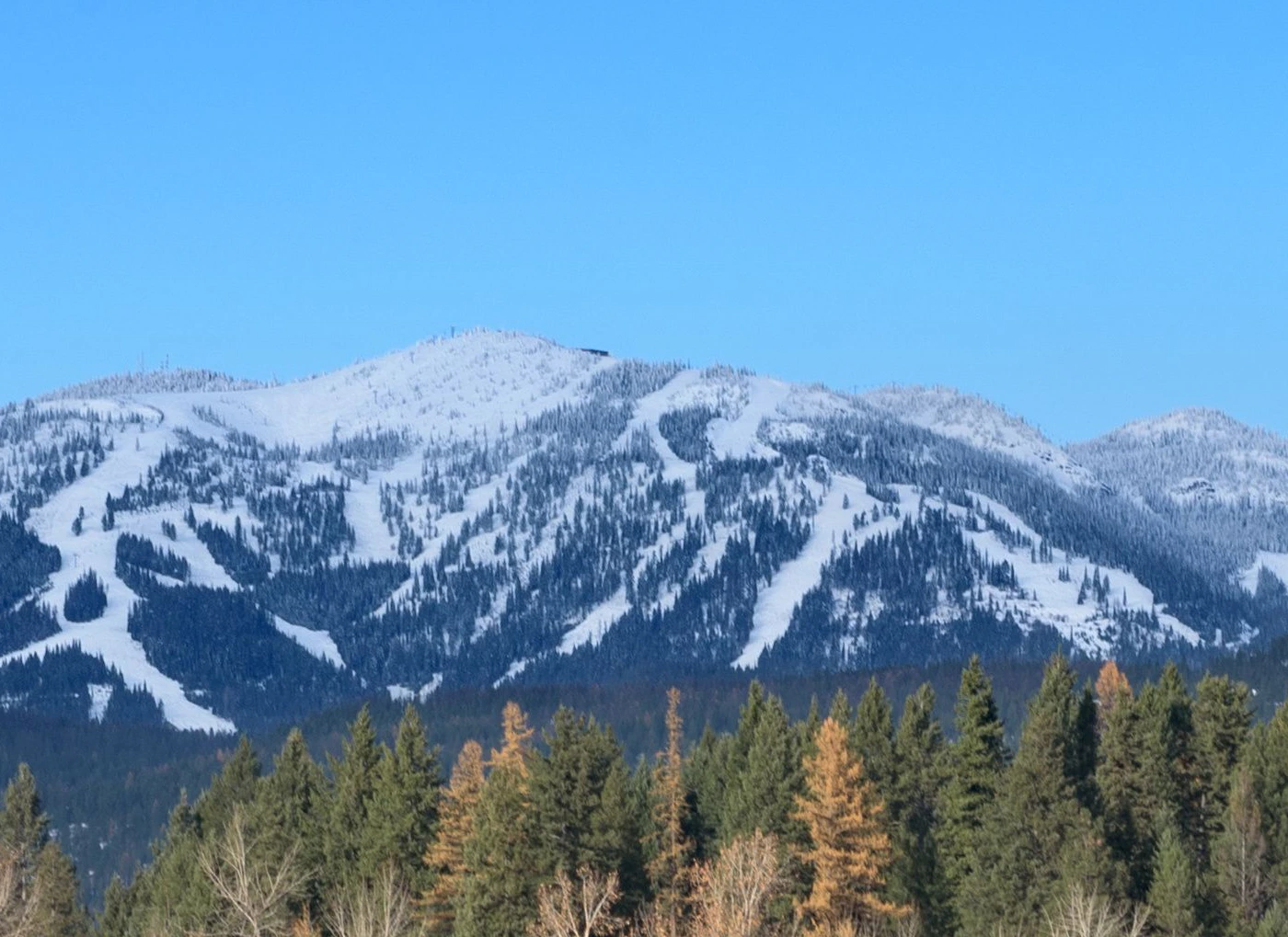 AdobeStock_181074639.jpeg